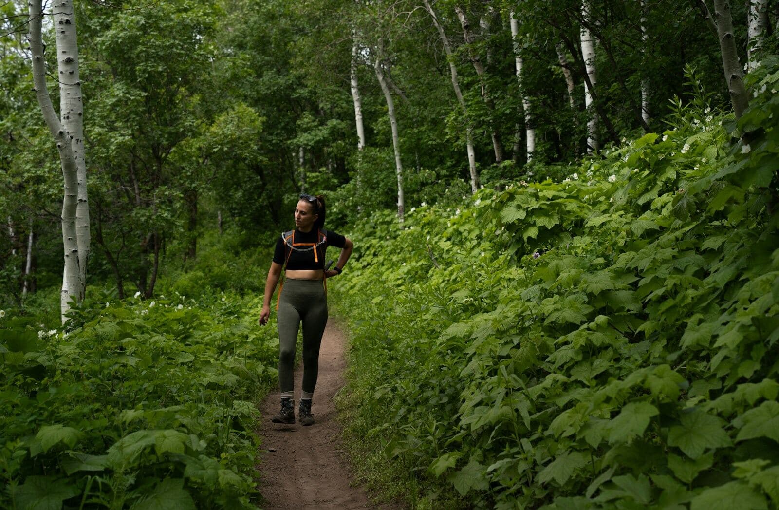 A person walking along a forest trail